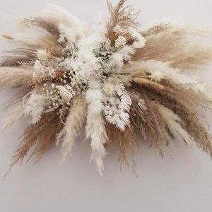 4 Pampas grass Clouds